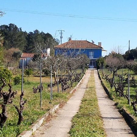 Casa Azul Tomar privé vakantiehuis + zwembad Exterior foto