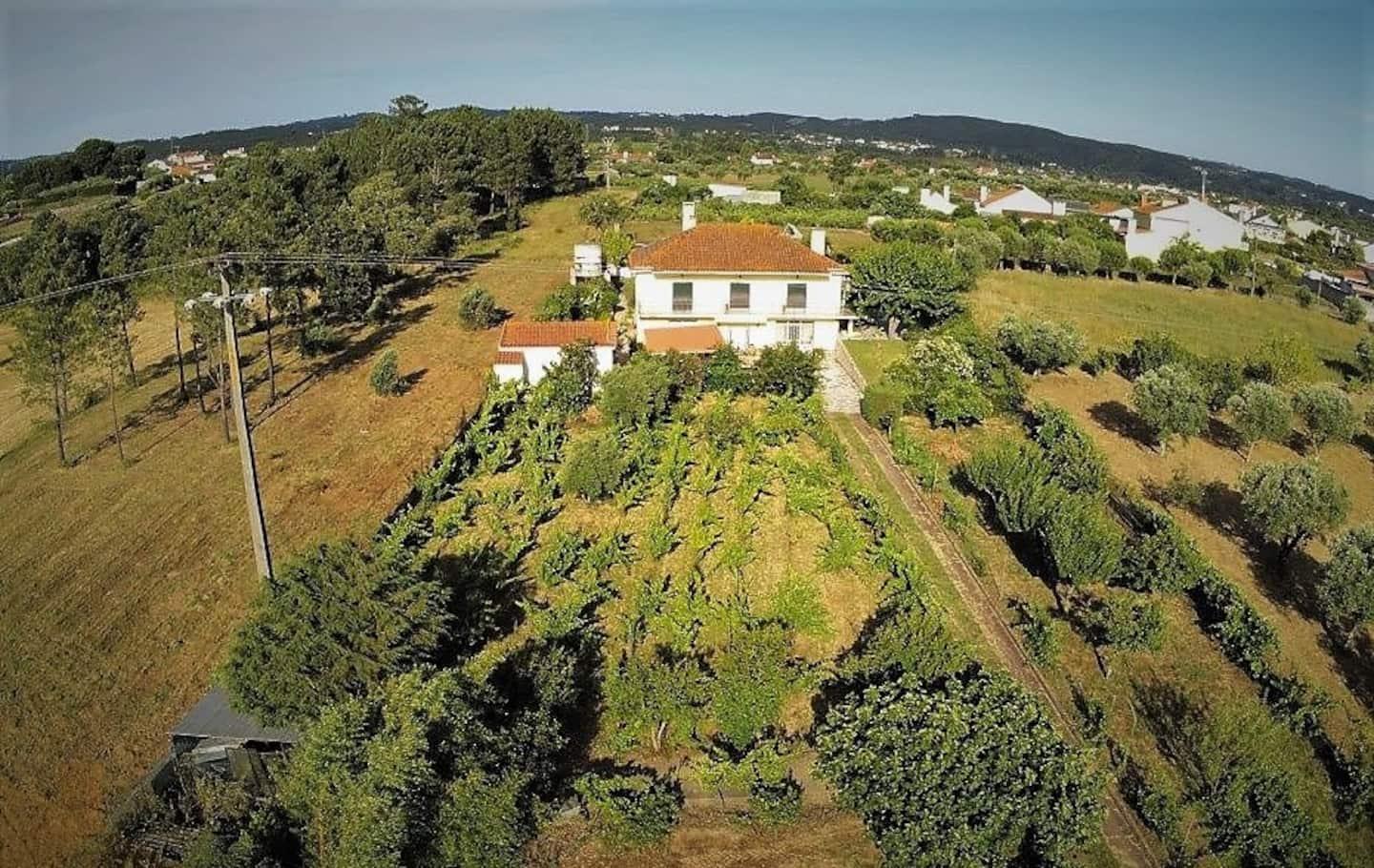 Casa Azul Tomar privé vakantiehuis + zwembad Exterior foto