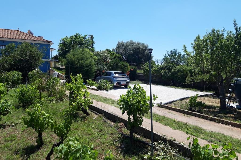 Casa Azul Tomar privé vakantiehuis + zwembad Exterior foto