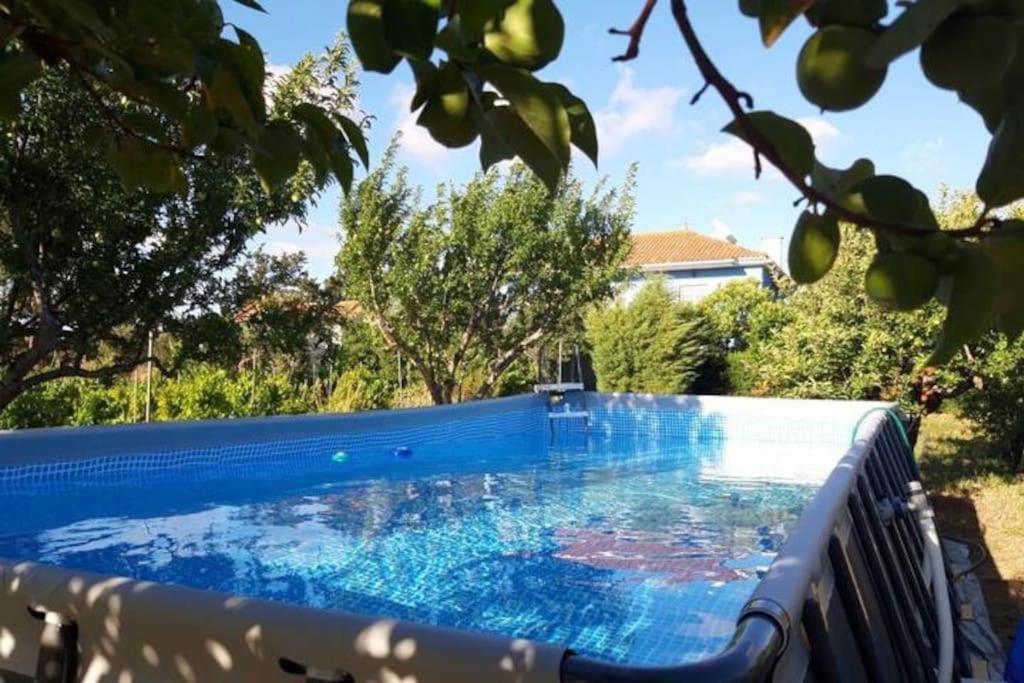 Casa Azul Tomar privé vakantiehuis + zwembad Exterior foto