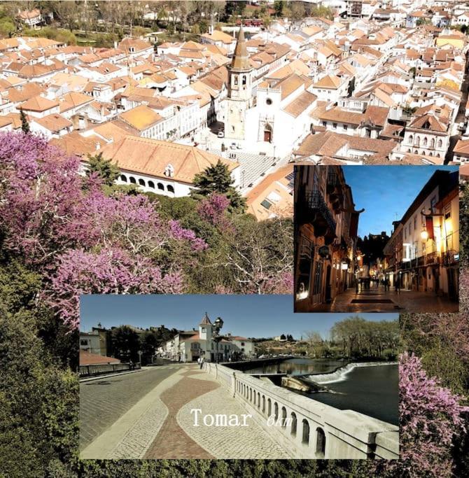 Casa Azul Tomar privé vakantiehuis + zwembad Exterior foto